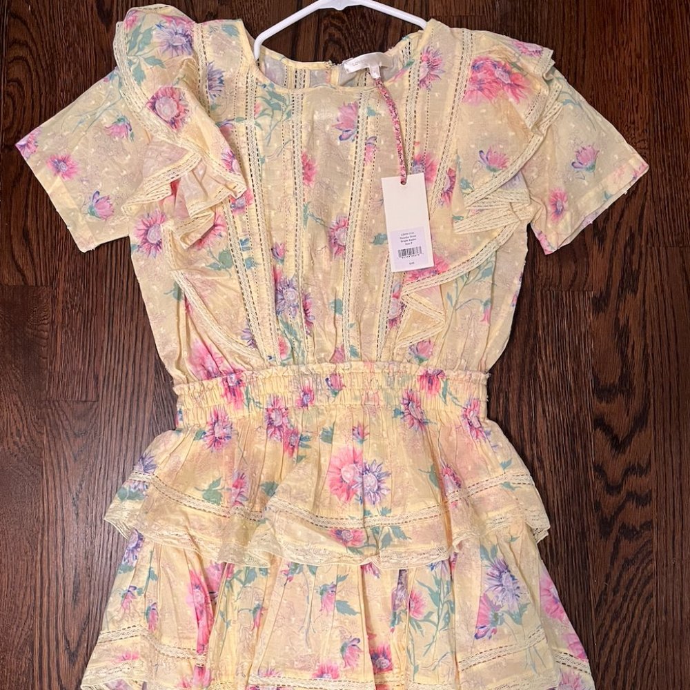 NWT LoveShackFancy Natasha Dress